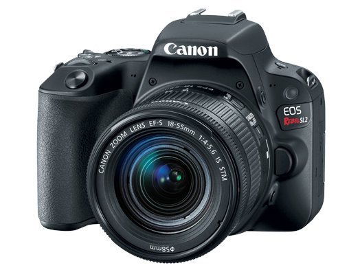 This list of the top 8 Best Canon Rebel SL2 camera lenses also includes alternatives for every budget. If you need an EF mount lens for your SL2, check this out.