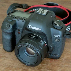 A list of used professional camera bodies that can be found for less than $250. Some entry level cameras have been included to cover as many lens mounts as possible.