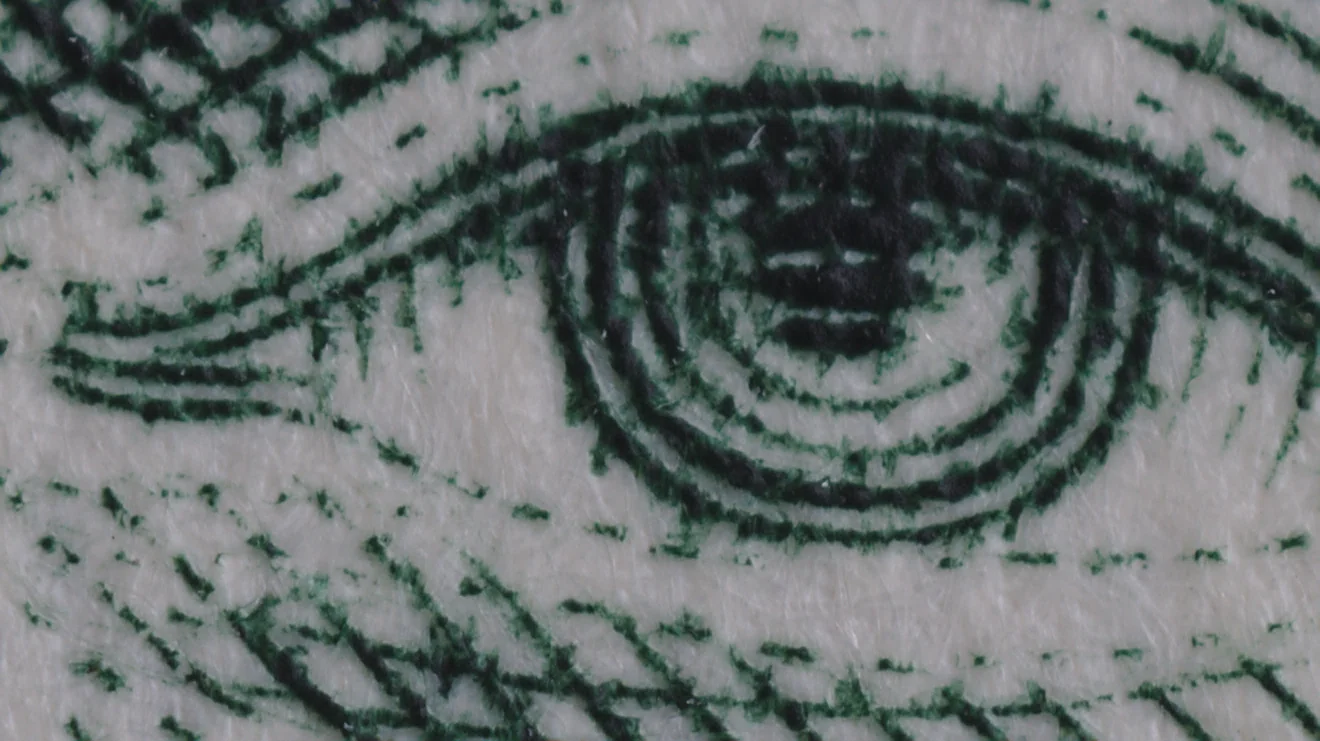 1:1 crop at 1x macro magnification