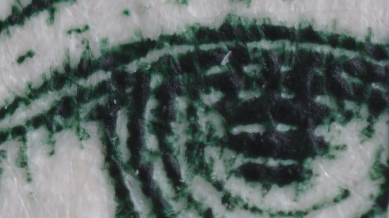 Reversed Lens Center Crop at 2x Magnification