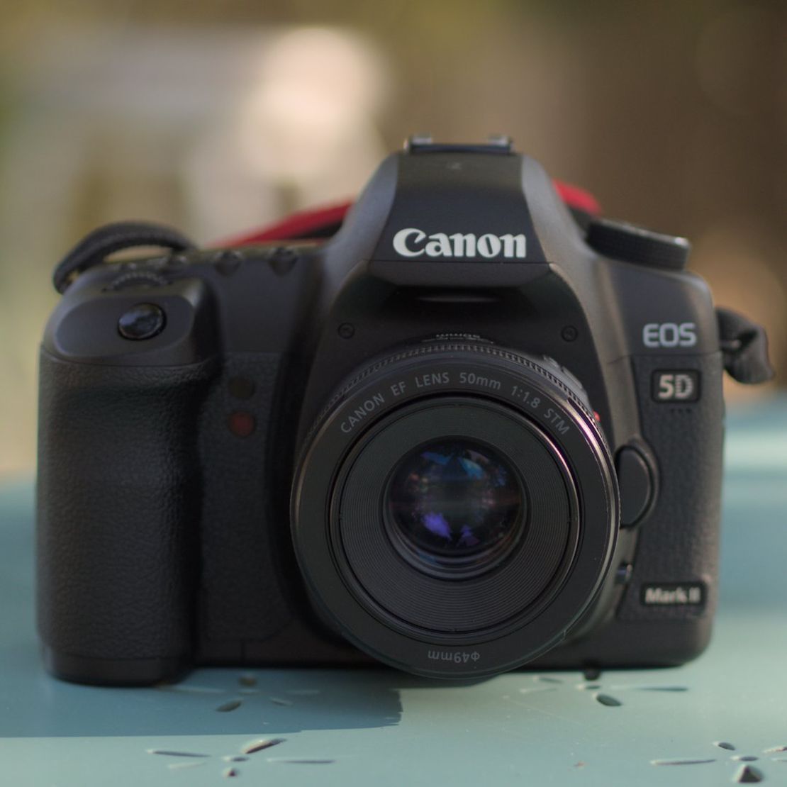 Fun & Affordable Canon 5D mark II Lenses