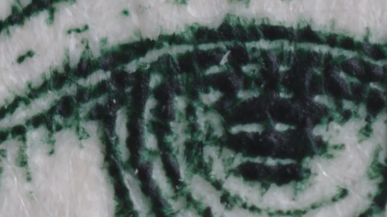 Reversed Lens Center Crop at 2x Magnification Reversed Lens Center Crop at 2x Magnification