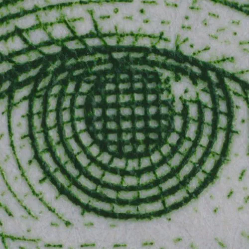 Sample Image Center Crop