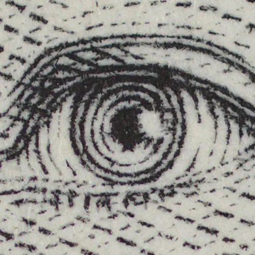 Life Size 1:1 Magnification Crop