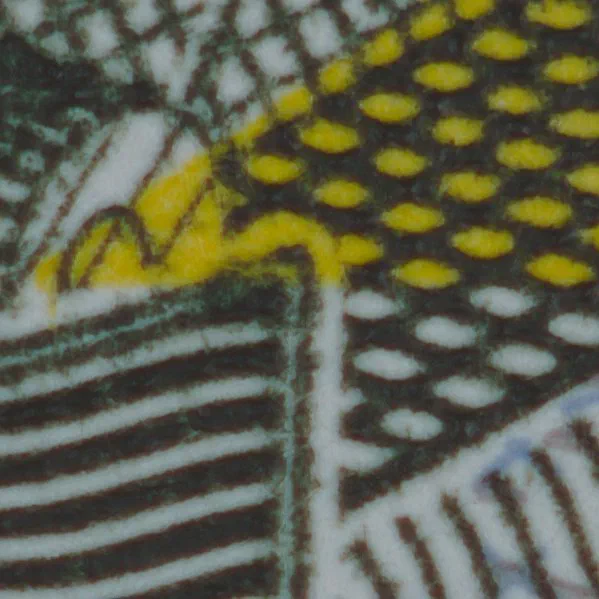 Vivitar 90mm f/2.8 at 1:1 Magnification