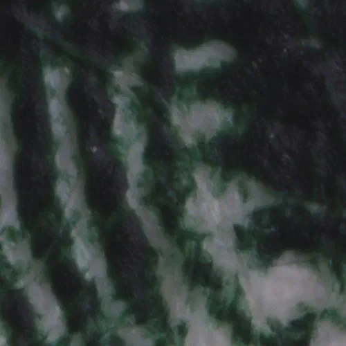 Reversed Lens Crop Reversed Lens Crop
