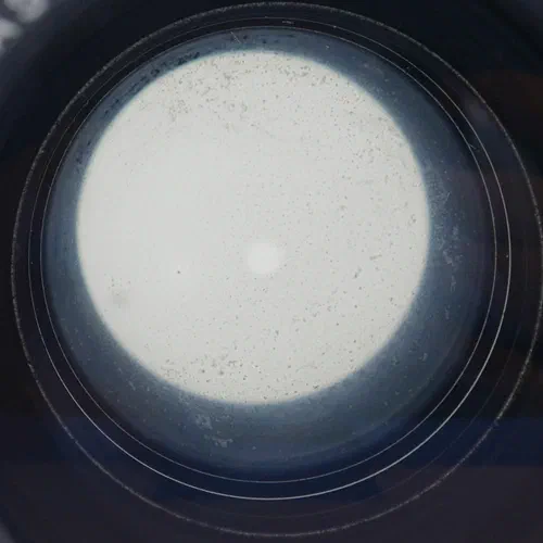 Haze in addition to fungal growth on a Yashica 75-200mm zoom lens