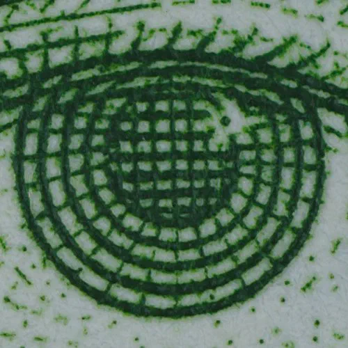 Macro 1:1 Magnification Center Crop