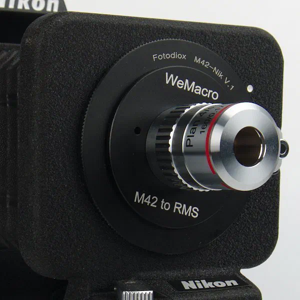 M42 to RMS Adapter on a Bellows and WeMacro Rail M42 to RMS Adapter on a Bellows and WeMacro Rail