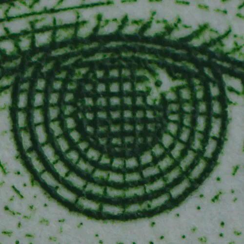 Life Size 1:1 Magnification Center Crop Life Size 1:1 Magnification Center Crop