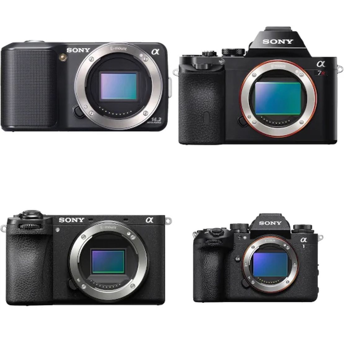 A Guide to Sony E-Mount Lenses & Cameras