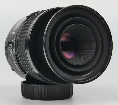 Front Element of Lens at Closest Focusing Distance