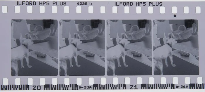 Nimslo 3D Camera Film Negative Showing 4 Half Frames